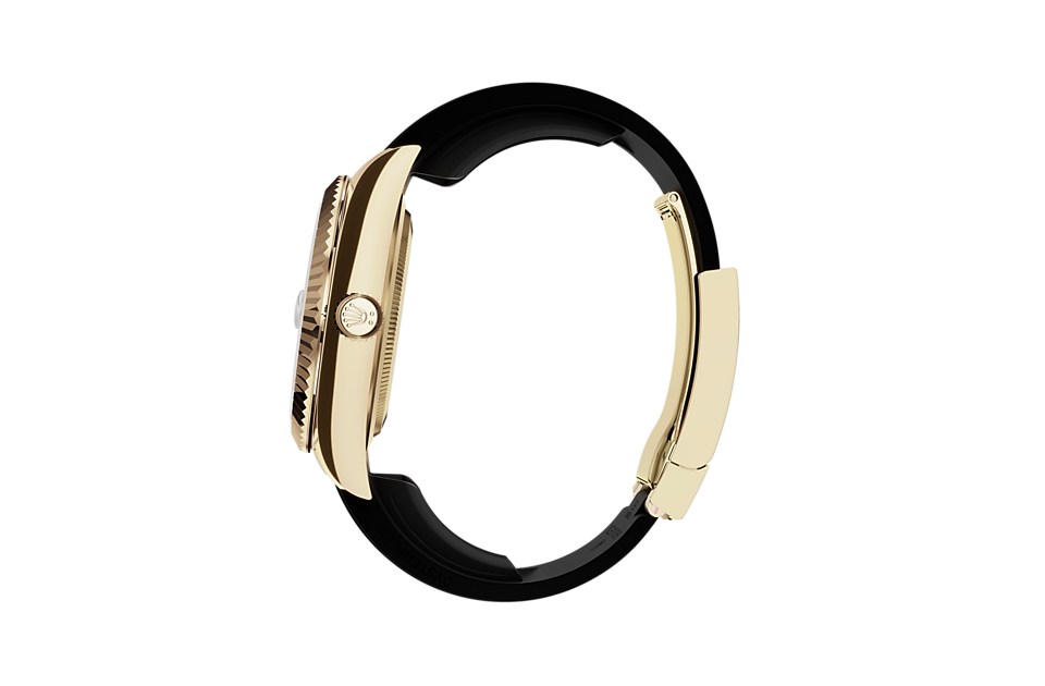 Sky-Dweller, Oyster, 42 mm, yellow gold Specifications